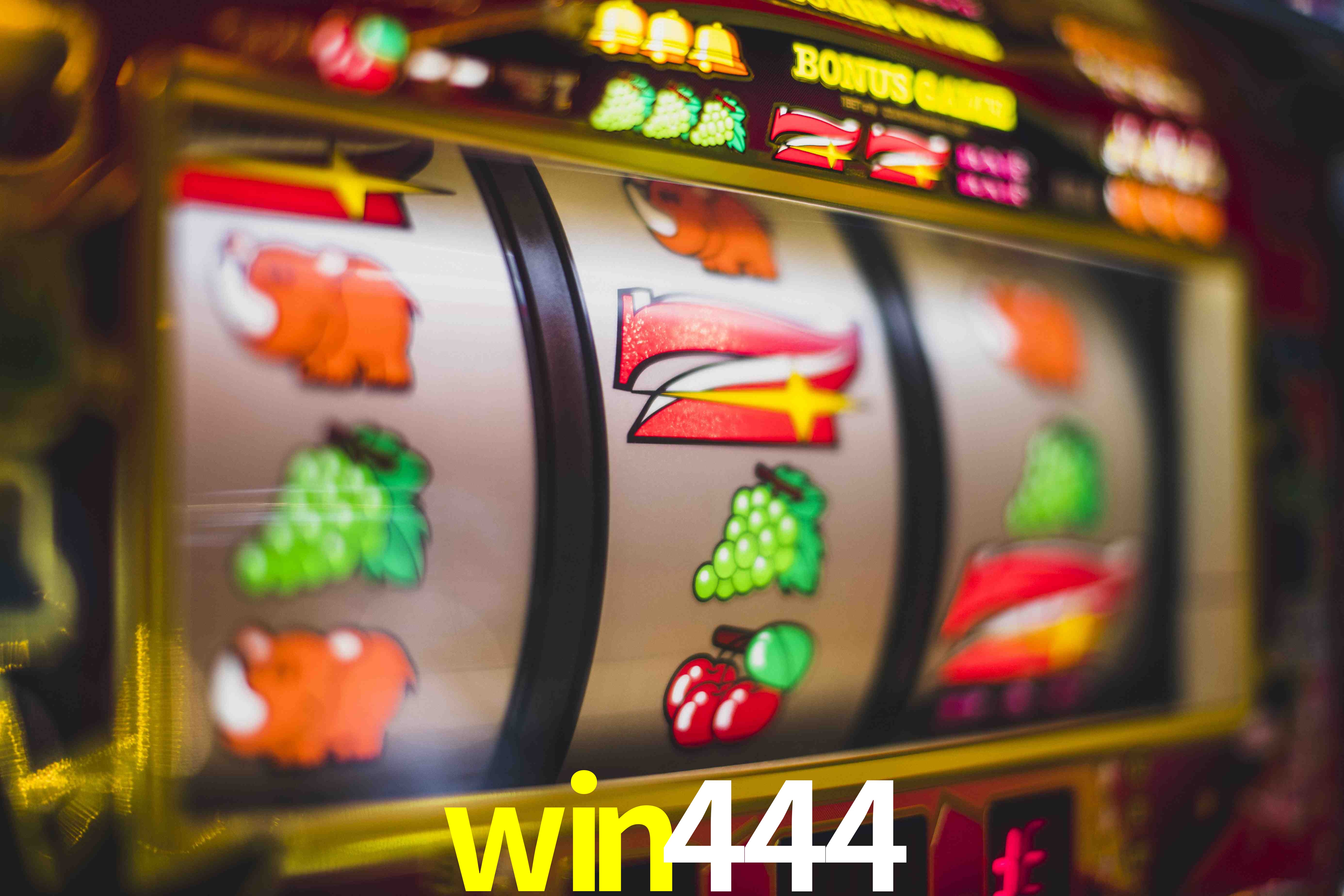 Live Casino win444